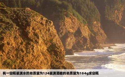 有一空瓶装满水的总质量为124装满酒精的总质量为104g求空瓶