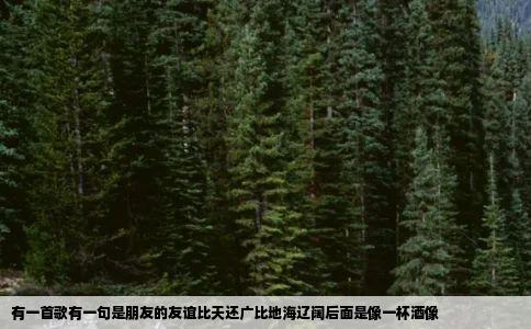 有一首歌有一句是朋友的友谊比天还广比地海辽阔后面是像一杯酒像