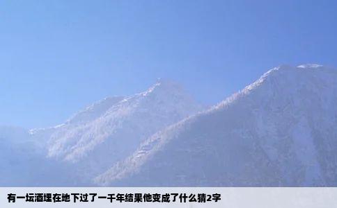 有一坛酒埋在地下过了一千年结果他变成了什么猜2字