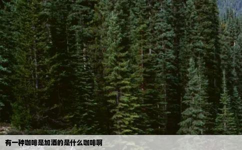 有一种咖啡是加酒的是什么咖啡啊