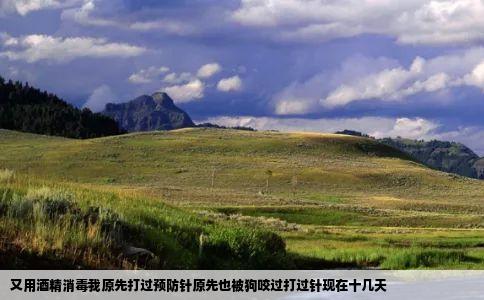 又用酒精消毒我原先打过预防针原先也被狗咬过打过针现在十几天