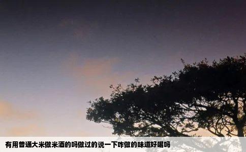 有用普通大米做米酒的吗做过的说一下咋做的味道好喝吗