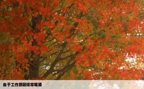 由于工作原因经常喝酒