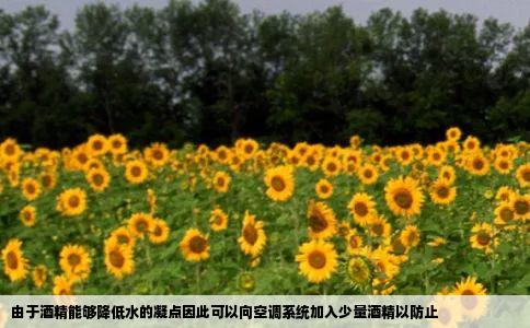 由于酒精能够降低水的凝点因此可以向空调系统加入少量酒精以防止