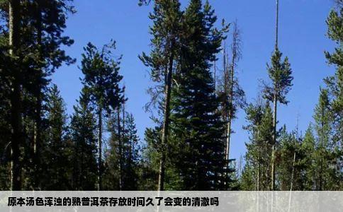 原本汤色浑浊的熟普洱茶存放时间久了会变的清澈吗