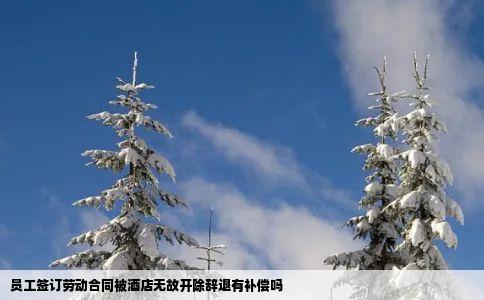 员工签订劳动合同被酒店无故开除辞退有补偿吗