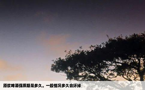 原浆啤酒保质期是多久。一般情况多久会坏掉