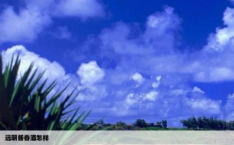 远明酱香酒怎样