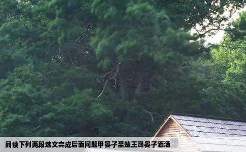 阅读下列两段选文完成后面问题甲晏子至楚王赐晏子酒酒