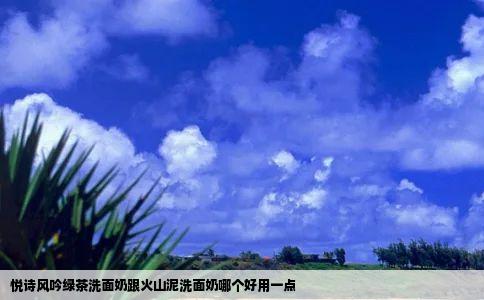 悦诗风吟绿茶洗面奶跟火山泥洗面奶哪个好用一点