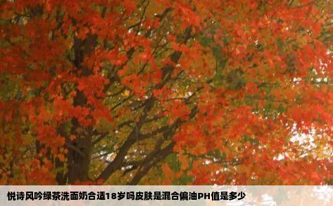 悦诗风吟绿茶洗面奶合适18岁吗皮肤是混合偏油PH值是多少