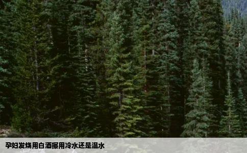 孕妇发烧用白酒擦用冷水还是温水