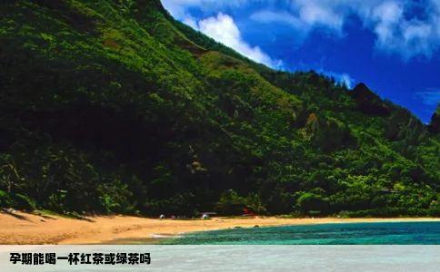 孕期能喝一杯红茶或绿茶吗