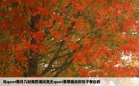 与quot明月几时有把酒问青天quot意思相近的句子李白的