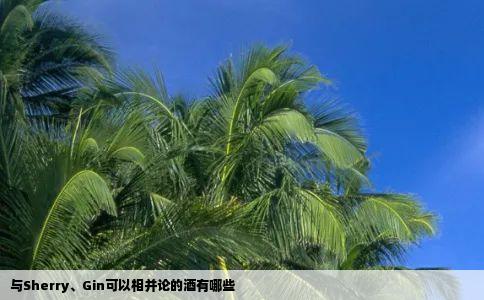 与SherryGin可以相并论的酒有哪些