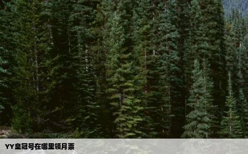 YY皇冠号在哪里领月票