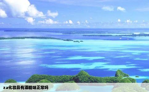 za化妆品有酒精味正常吗