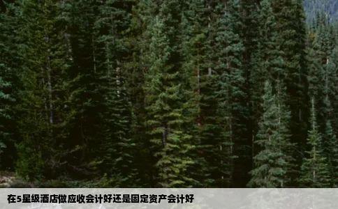 在5星级酒店做应收会计好还是固定资产会计好