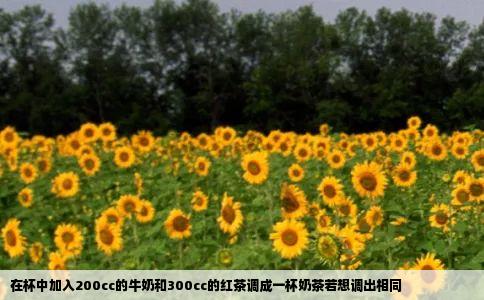 在杯中加入200cc的牛奶和300cc的红茶调成一杯奶茶若想调出相同