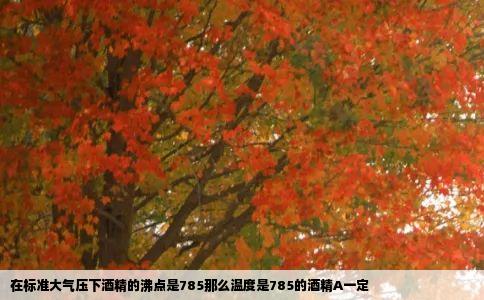 在标准大气压下酒精的沸点是785那么温度是785的酒精A一定