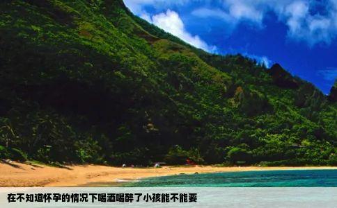 在不知道怀孕的情况下喝酒喝醉了小孩能不能要