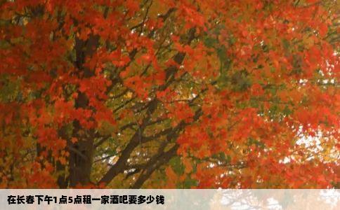 在长春下午1点5点租一家酒吧要多少钱