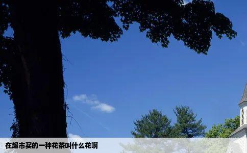 在超市买的一种花茶叫什么花啊