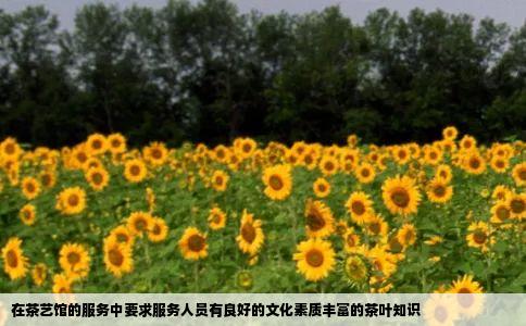 在茶艺馆的服务中要求服务人员有良好的文化素质丰富的茶叶知识
