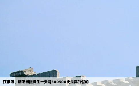在饭店、酒吧当服务生一天赚300500块是真的假的