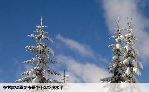 在甘肃省酒泉市是个什么经济水平