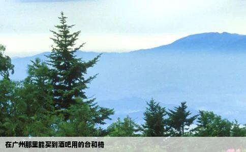 在广州那里能买到酒吧用的台和椅