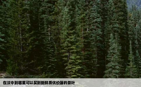 在汉中到哪里可以买到新鲜质优价廉的茶叶