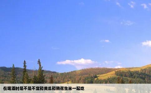 在喝酒时是不是不宜和黄瓜和熟花生米一起吃
