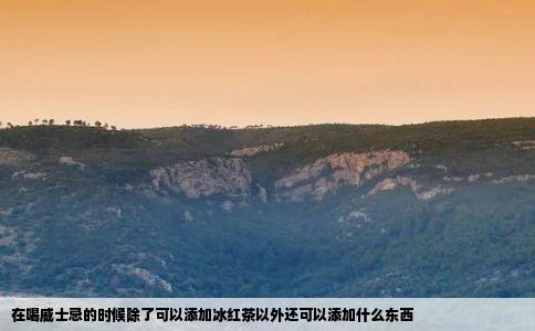 在喝威士忌的时候除了可以添加冰红茶以外还可以添加什么东西