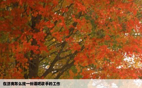在济南怎么找一份酒吧歌手的工作