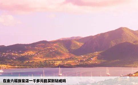 在金六福珠宝店一千多元能买到钻戒吗