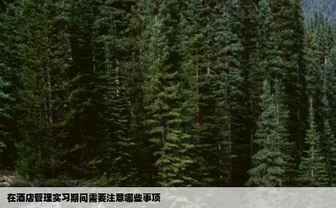 在酒店管理实习期间需要注意哪些事项