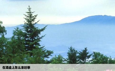 在酒桌上怎么来划拳