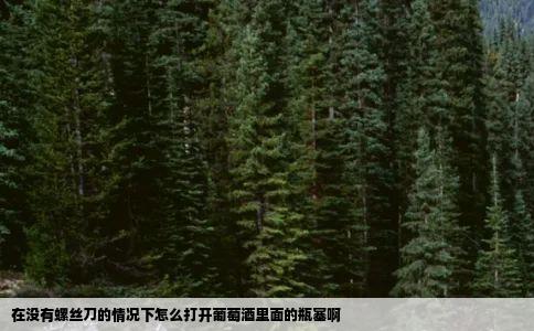 在没有螺丝刀的情况下怎么打开葡萄酒里面的瓶塞啊