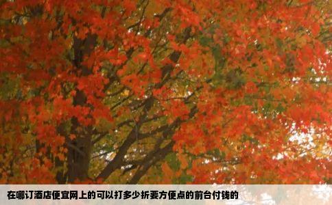 在哪订酒店便宜网上的可以打多少折要方便点的前台付钱的