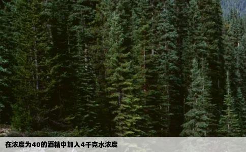 在浓度为40的酒精中加入4千克水浓度