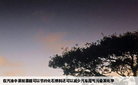 在汽油中添加酒精可以节约化石燃料还可以减少汽车尾气污染其化学