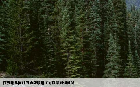 在去哪儿网订的酒店取消了可以拿到退款吗