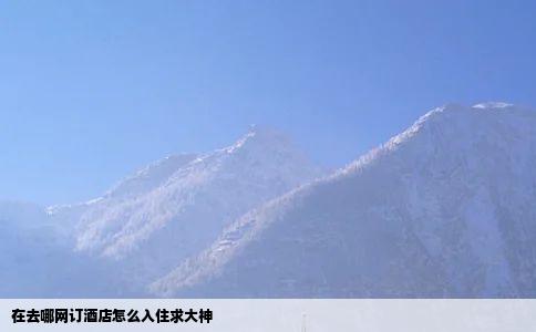 在去哪网订酒店怎么入住求大神