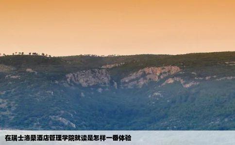 在瑞士洛桑酒店管理学院就读是怎样一番体验
