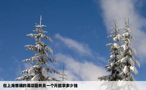 在上海普通的酒店服务员一个月能拿多少钱