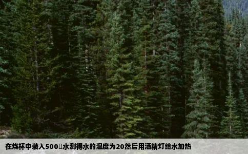 在烧杯中装入500ɡ水测得水的温度为20然后用酒精灯给水加热