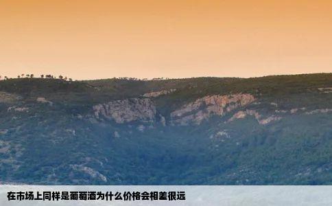 在市场上同样是葡萄酒为什么价格会相差很远