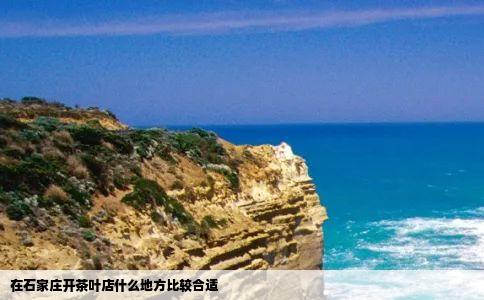 在石家庄开茶叶店什么地方比较合适