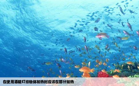 在使用酒精灯给物体加热时应该在部分加热